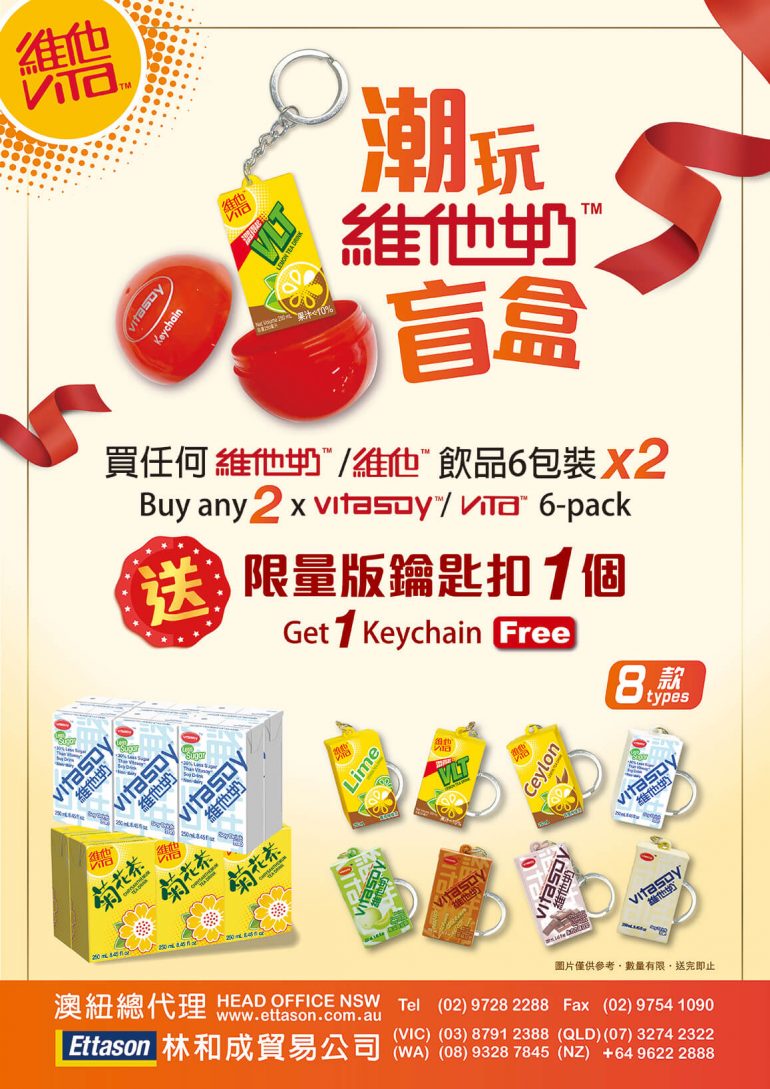 Vita Keychain promo page